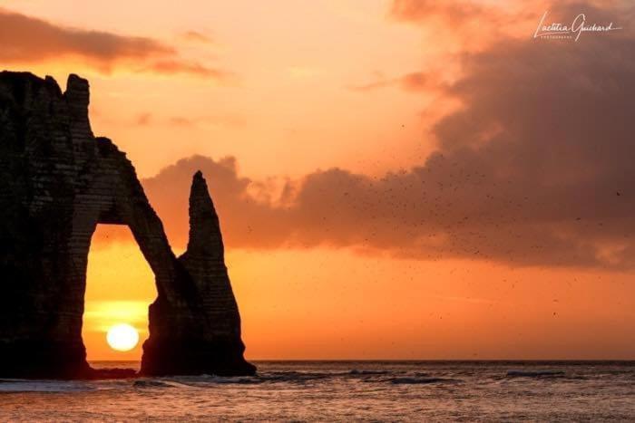 Villa comme un poisson dans l'eau à Étretat Extérieur photo